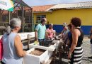 Idosos de Governador Celso Ramos cultivam plantas em oficina de horta para fortalecer laços comunitários e promover saúde